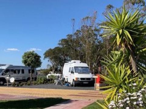 Camping Costa do Vizir - Camping Alentejo - Image N°17