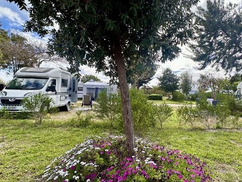 Camping Costa do Vizir - Camping Alentejo - Image N°37