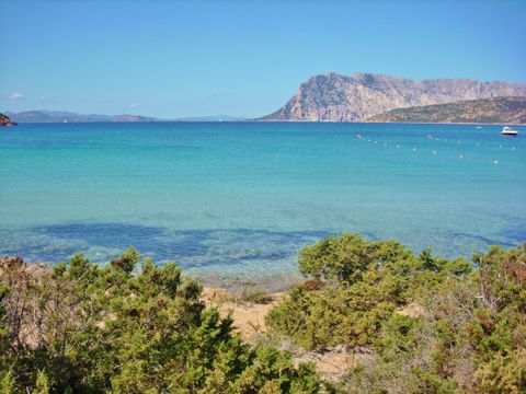 Residenze Gallura - Camping Olbia-Tempio - Image N°8