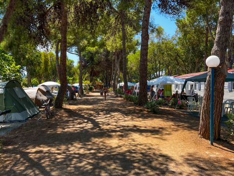 Giannella Camping - Camping Grosseto - Image N°8