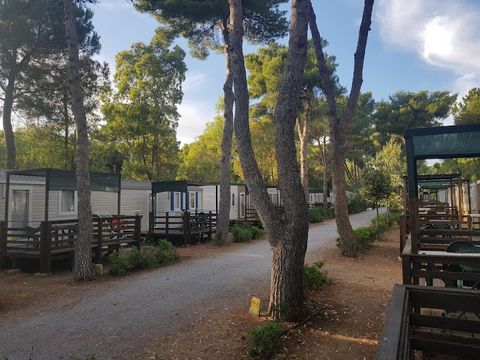 Giannella Camping - Camping Grosseto - Image N°7