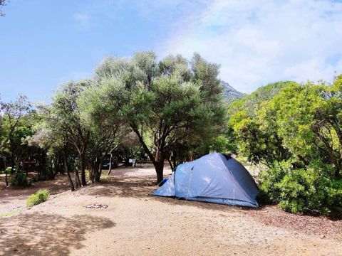 Camping Agriturismo Vignavecchia - Camping Lecce - Image N°15
