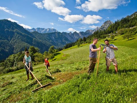 Forest Camping Mozirje - Camping Slovenie - Image N°57