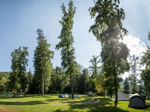 Forest Camping Mozirje - Camping Slovenie - Image N°7