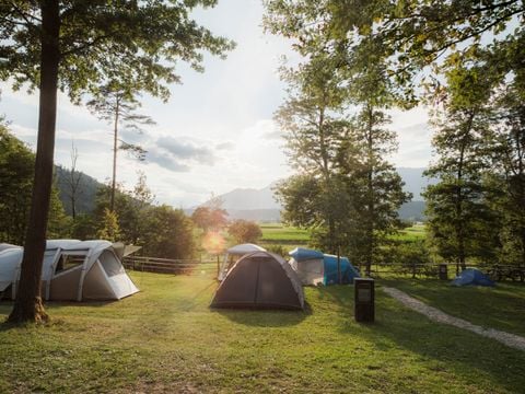 Forest Camping Mozirje - Camping Slovenia - Image N°3