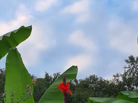 Camping Moulin de David - Camping Dordogne - Image N°4