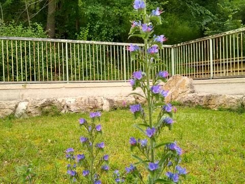 Camping Moulin de David - Camping Dordogne