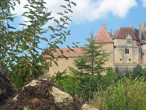 Camping Moulin de David - Camping Dordogne - Image N°74