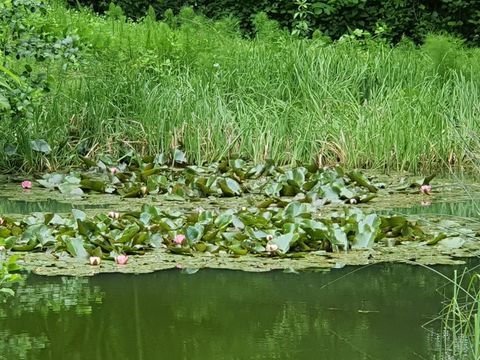 Camping Moulin de David - Camping Dordogne - Image N°96