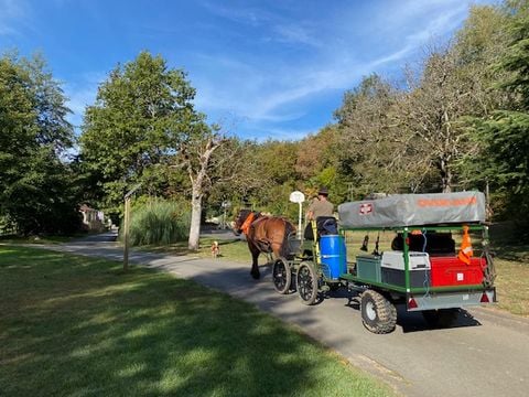 Camping Moulin de David - Camping Dordogne - Image N°58