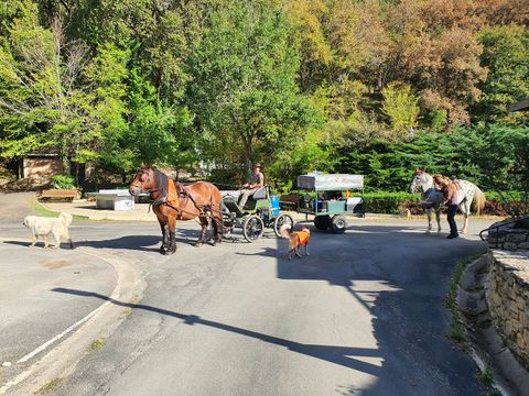 Camping Moulin de David - Camping Dordogne - Image N°14