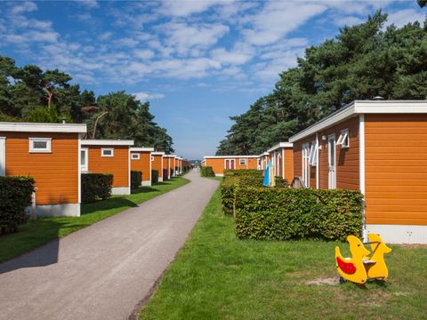 Oostappen park Parelstrand - Camping Limbourg Belge - Image N°39