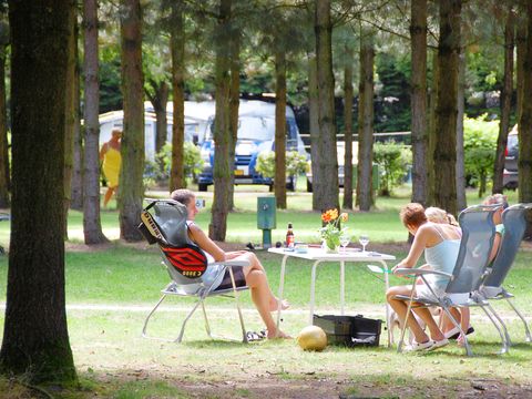 Oostappen park Brugse Heide - Camping Valkenswaard - Image N°39