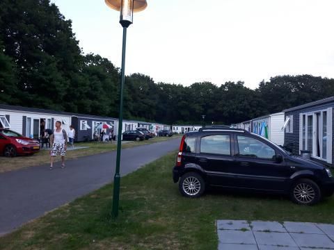 Oostappen park Hengelhoef - Camping Limbourg Belge - Image N°61