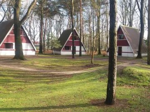 Roompot Bospark 't Wolfsven - Camping Geldrop-Mierlo - Image N°10