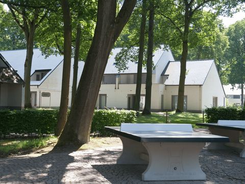 Holiday Suites Limburg - Camping Limbourg Belge - Image N°21