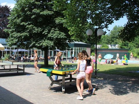Molecaten Park Landgoed Ginkelduin - Camping Utrecht - Image N°21