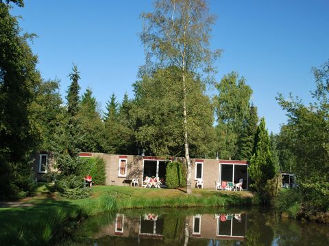 Recreatiecentrum Adelhof - Camping Westerveld - Image N°23