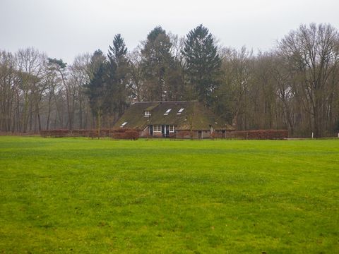 Buitengoed Fredeshiem - Camping Steenwijkerland - Image N°20