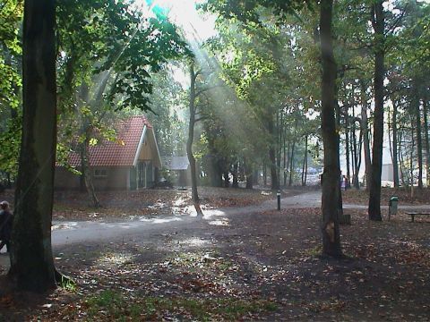 Buitengoed Fredeshiem - Camping Steenwijkerland - Image N°2