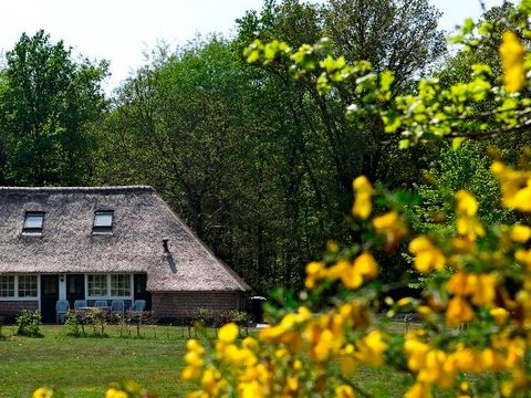 Buitengoed Fredeshiem - Camping Steenwijkerland - Image N°18