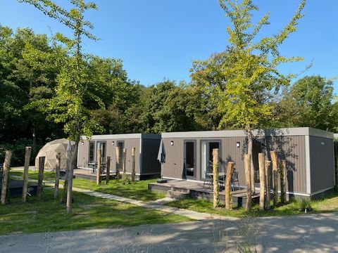 Vakantiepark Delftse Hout - Camping Delft - Image N°3