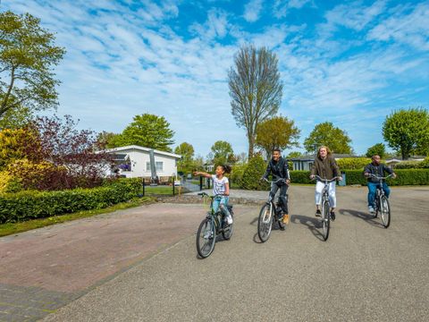 EuroParcs Molengroet - Camping Langedijk - Image N°21
