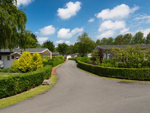 EuroParcs Molengroet - Camping Langedijk - Image N°29