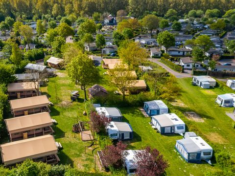 EuroParcs Molengroet - Camping Langedijk - Image N°33