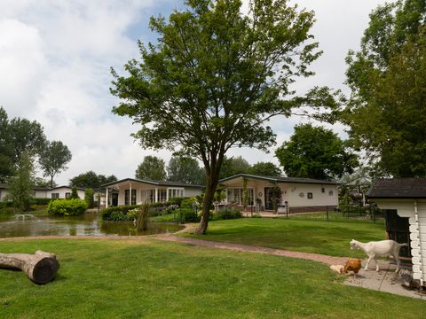 EuroParcs Molengroet - Camping Langedijk - Image N°30