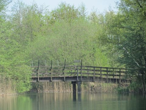 Vakantiepark 't Broeckhuys - Camping Beuningen - Image N°8