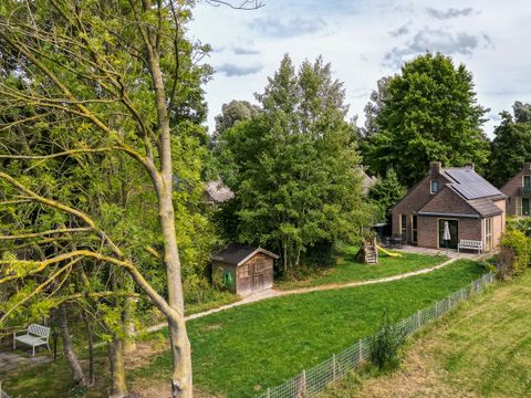 BUNGALOW 6 personnes - Forest Pet & Family 197