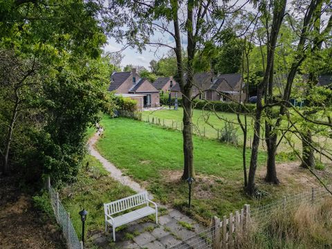 BUNGALOW 6 personnes - Forest Pet & Family 197