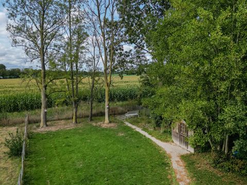 BUNGALOW 6 personnes - Forest Pet & Family 197