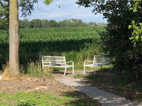 BUNGALOW 6 personnes - Forest Pet & Family 197