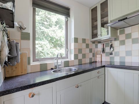 BUNGALOW 6 personnes - Forest Pet & Family 197