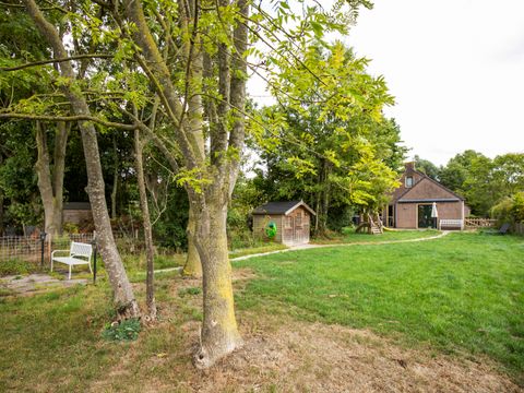 BUNGALOW 6 personnes - Forest Pet & Family 197