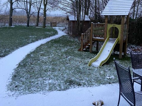 BUNGALOW 6 personnes - Forest Pet & Family 197