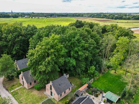 BUNGALOW 6 personnes - Forêt 287