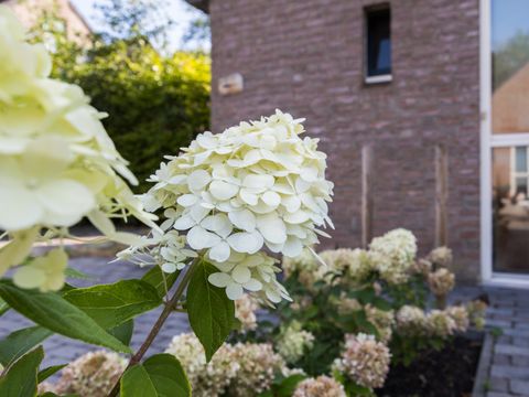 BUNGALOW 4 personnes - Zone lacustre 48