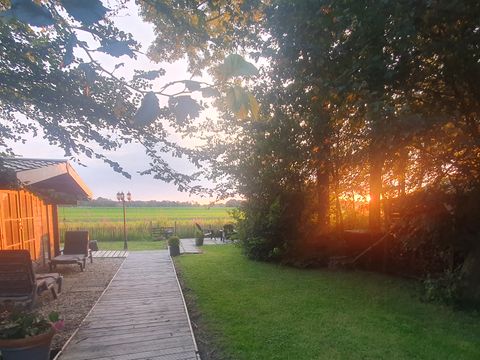 BUNGALOW 6 personnes - Forêt 217 Sauna