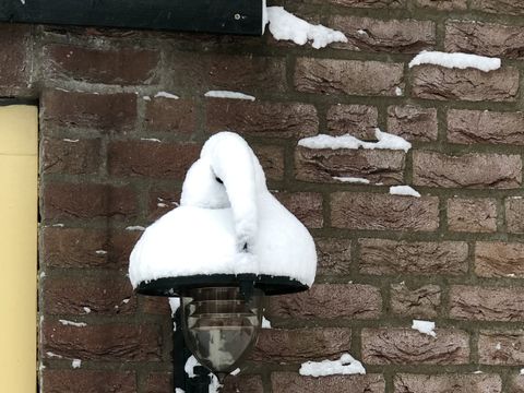 BUNGALOW 6 personnes - Le saule chanteur 116