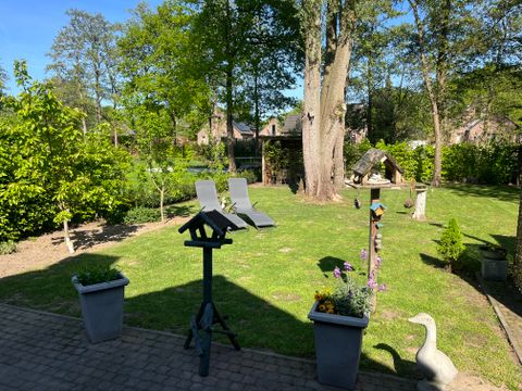 BUNGALOW 6 personnes - Le saule chanteur 116