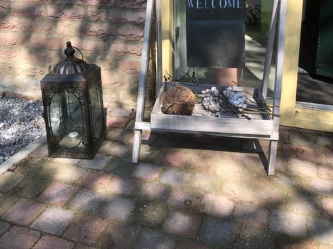 BUNGALOW 6 personnes - Le saule chanteur 116