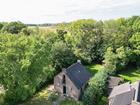 BUNGALOW 6 personnes - Forêt 209