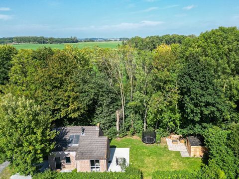 BUNGALOW 4 personnes - Forêt 271