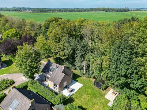 BUNGALOW 4 personnes - Forêt 271