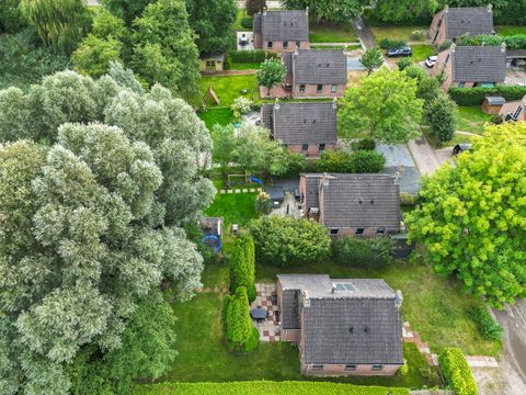 BUNGALOW 6 personnes - Forêt 231