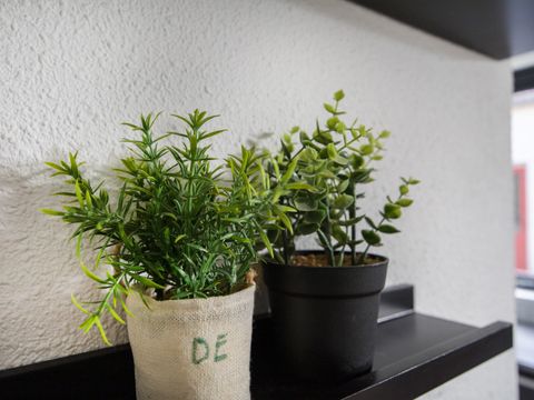 BUNGALOW 6 personnes - Lacs 61