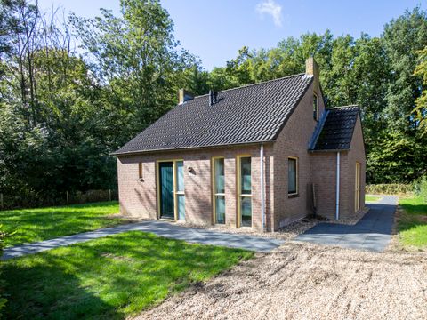 BUNGALOW 6 personnes - Forêt 151